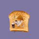955