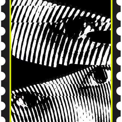 Danky Collector's Stamp (H2)