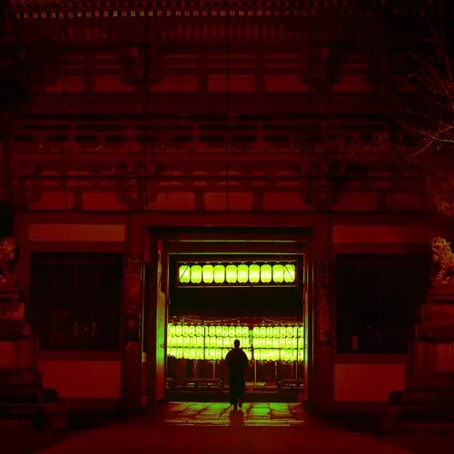 Lively World by Nicolas Davis