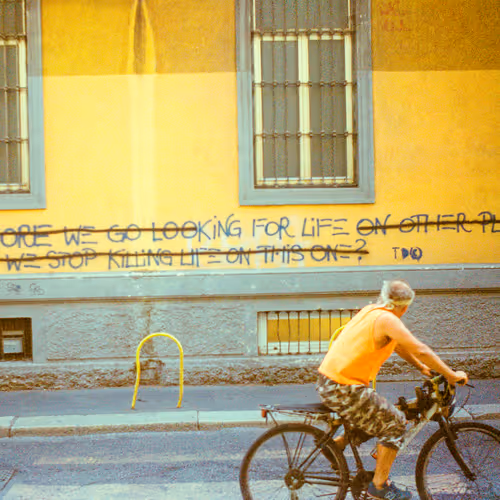 looKingForLife x rick stack