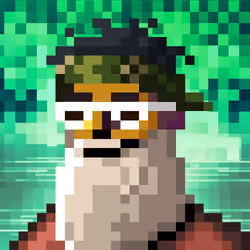 204