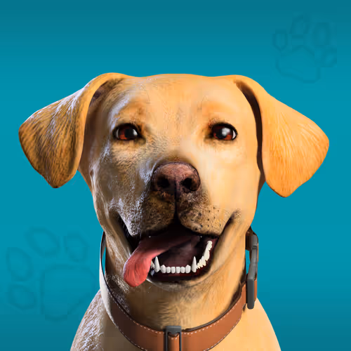 Nfpets Sparky Daz3d