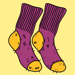 Basic Needs: SOCKS! #333