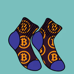 Basic Needs: SOCKS! #285