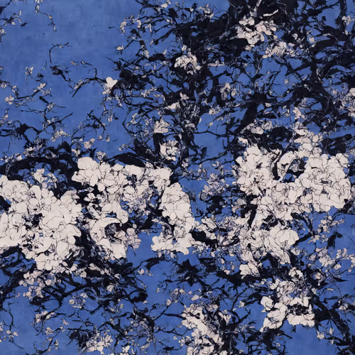 Wabi Sabi Syntax By Ilan Derech