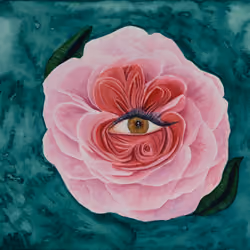 We See You: Pink Rose