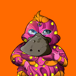ORANGE #242