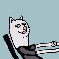 Doge #717