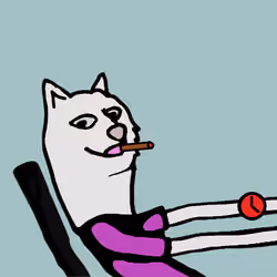 Doge #6800