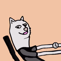 Doge #2317