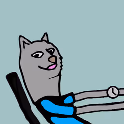 Doge #4298