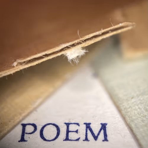 Four Letter Words Genesis