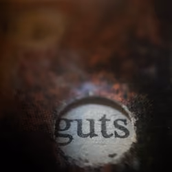 GUTS