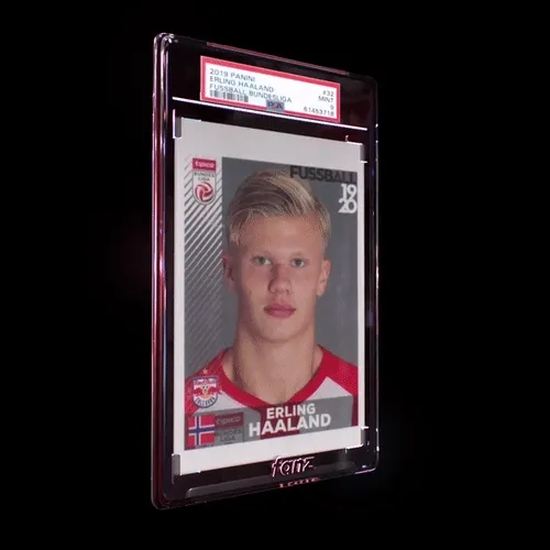 Erling Haaland. 2019. 