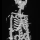 SKELLY