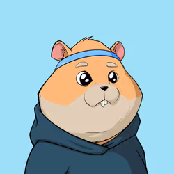 Hamster #207
