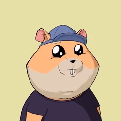 Hamster #348