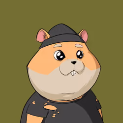 Hamster #6