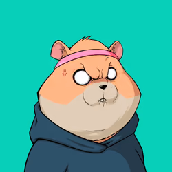 Hamster #349