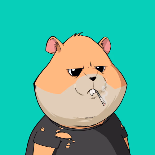 Hamster #65