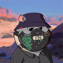 Hamster #86