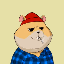 Hamster #484