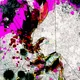jmpntr2217_Flowers