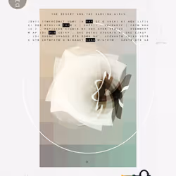 Codex #17