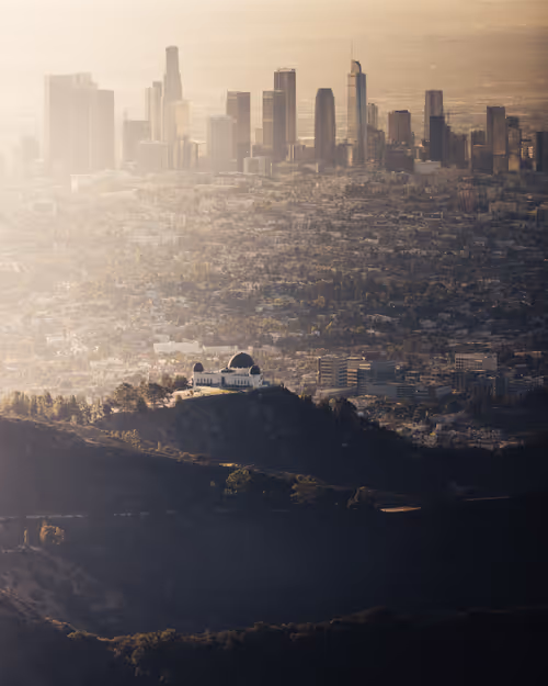 Item #30200010004 Media