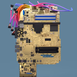 Chipto #236