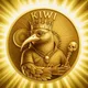 Kiwi Coin - The Golden Kiwi King