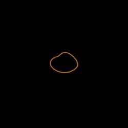 LootPebble #1146