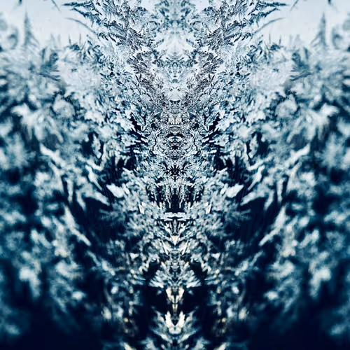 Crystal Photo Nft