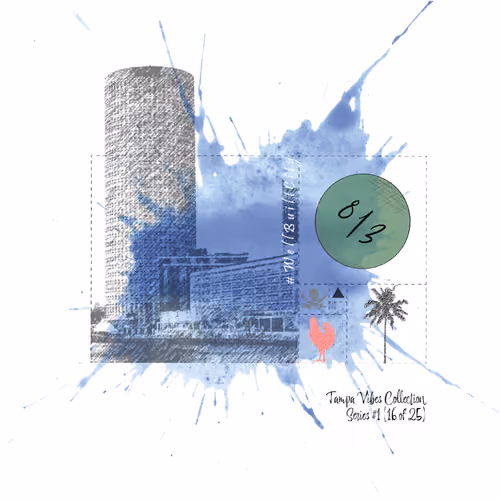 Tampa Vibes Collection Series #1-16