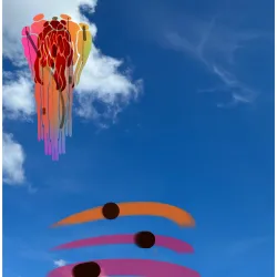 120
