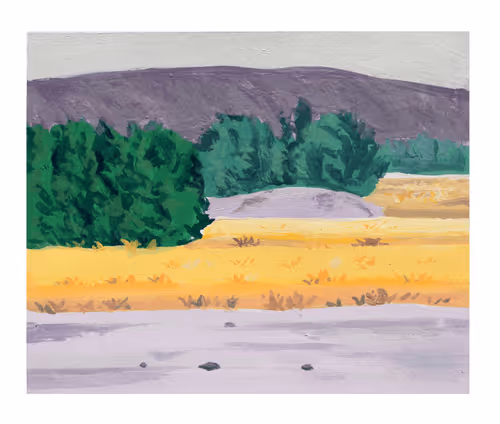 Item #39750406798031227861417759898945504113138082049213620514875214622817200898052 Media