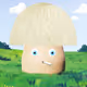 9031