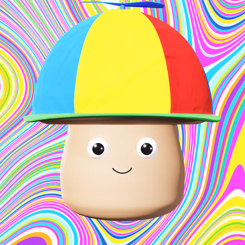 2555