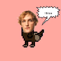 118