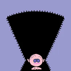 146