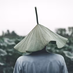 Leafhead #4/10