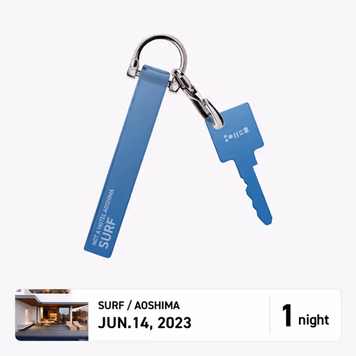 Item #23061400000020100 Media