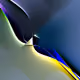9715