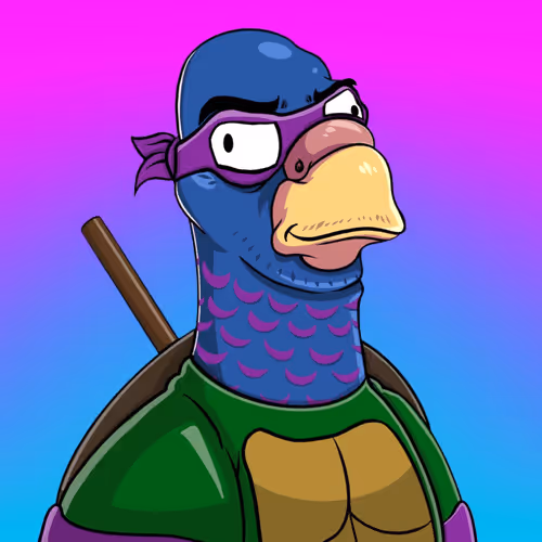 Pigeons Of New York