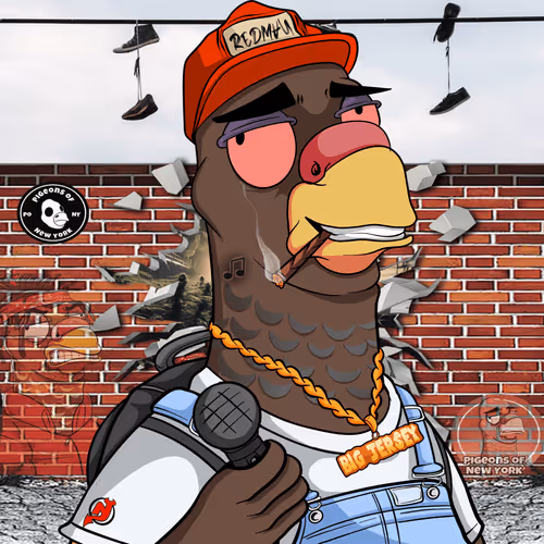 Pigeons Of New York