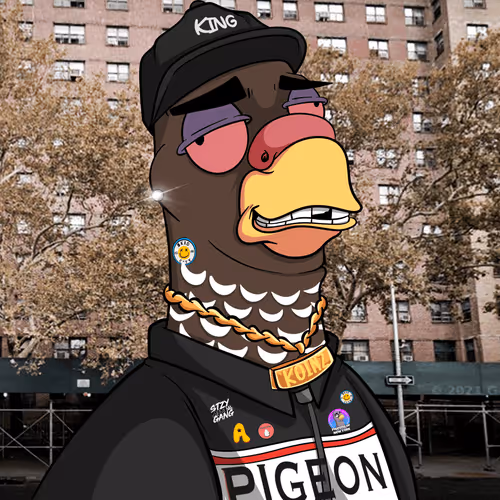 Pigeons Of New York