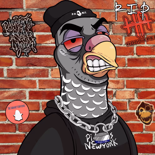 Pigeons Of New York