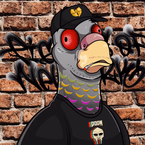 Pigeons Of New York
