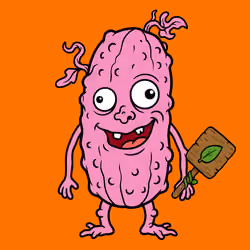 1633
