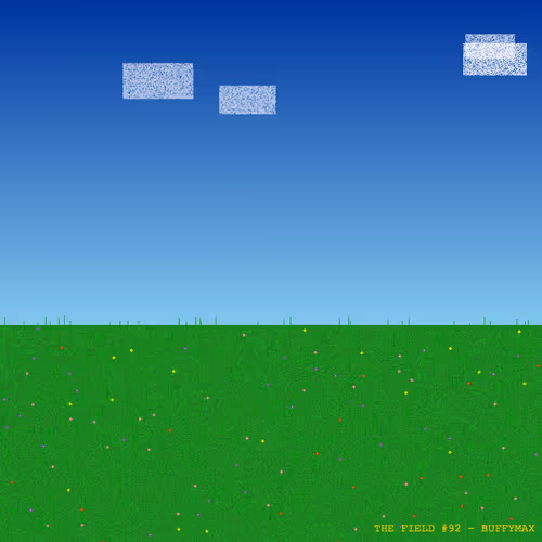 The Field